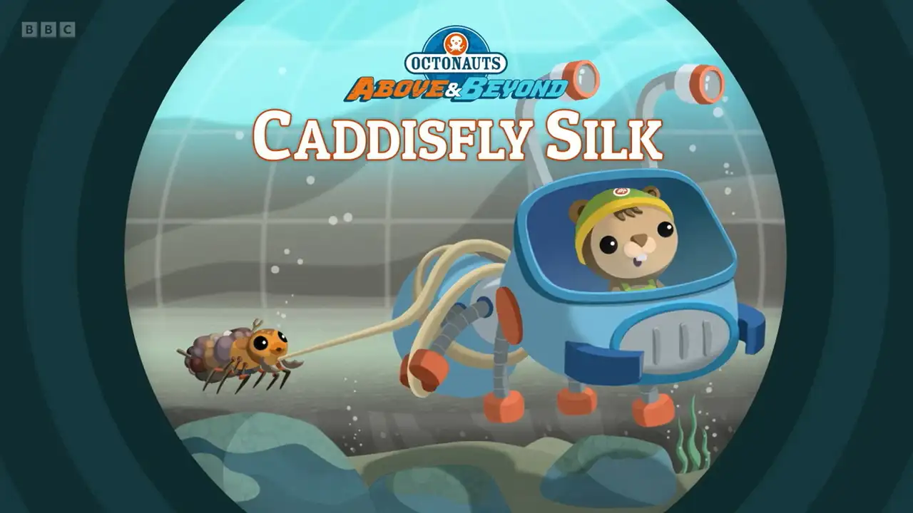 Caddisfly Silk