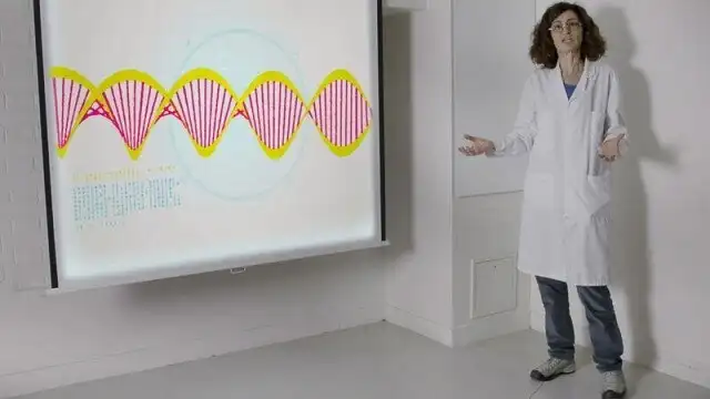 Can Algorithms Make Us Healthy?