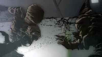 Have You Ever Seen a Black Ghost?