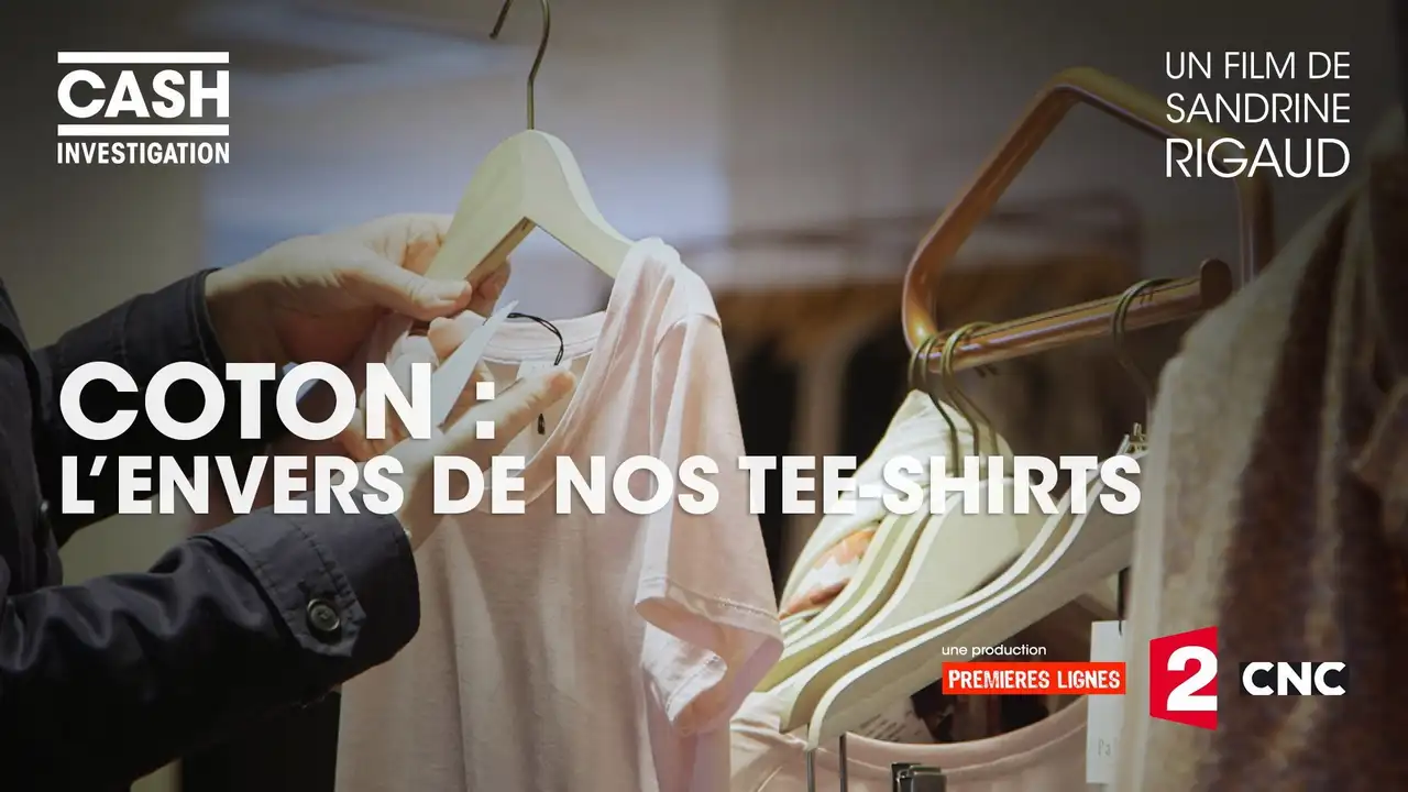 Cotton, the back of our T-shirts