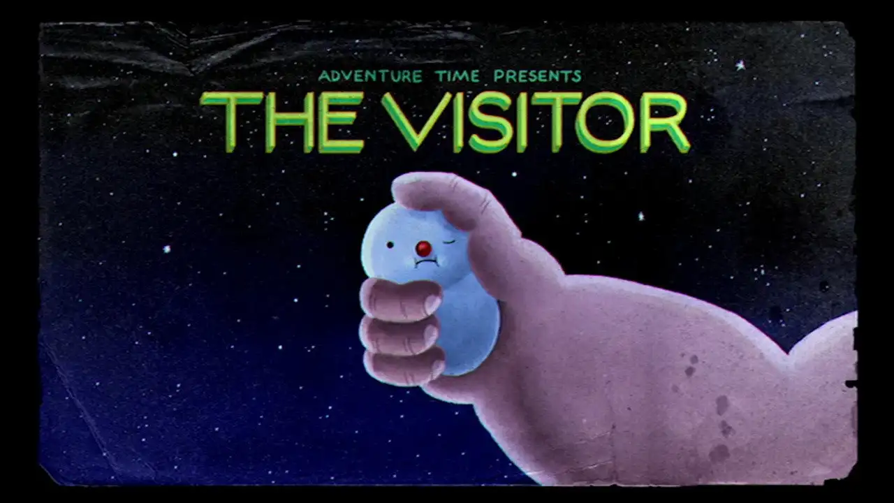 The Visitor