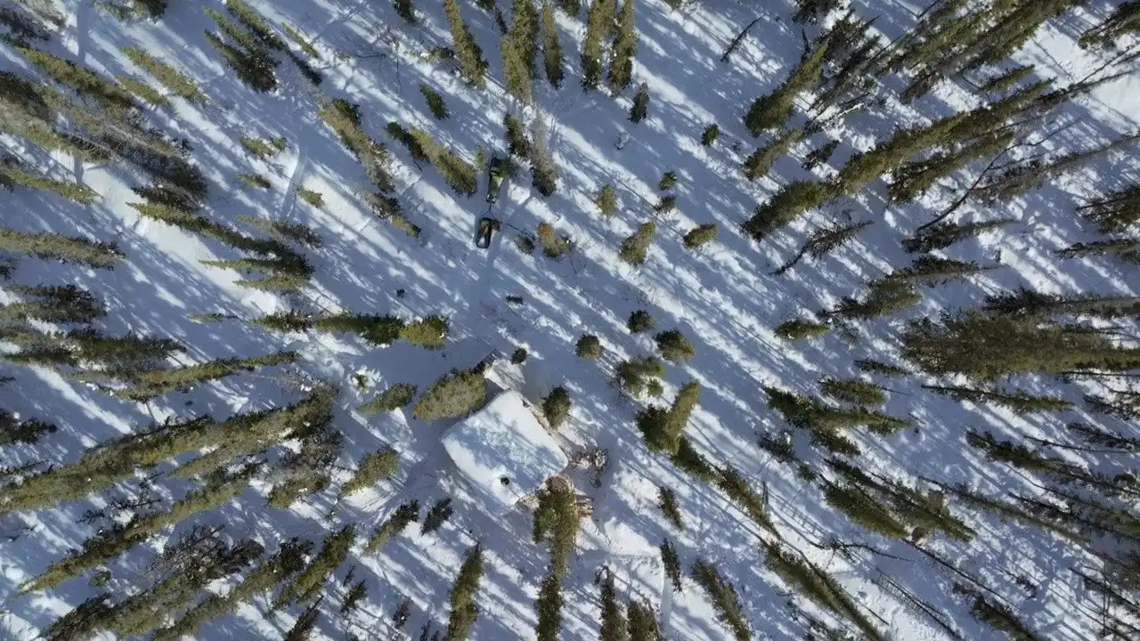 Into the Tundra