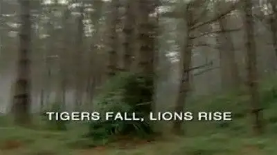 Tigers Fall, Lions Rise