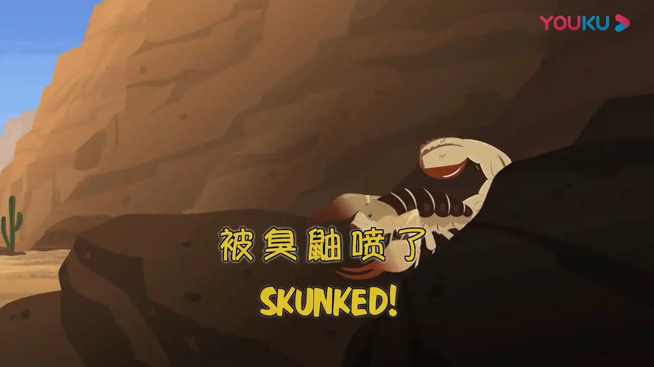 Skunked!