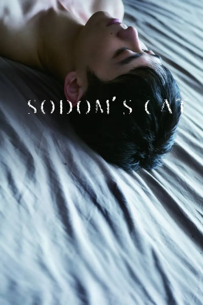 Sodom's Cat