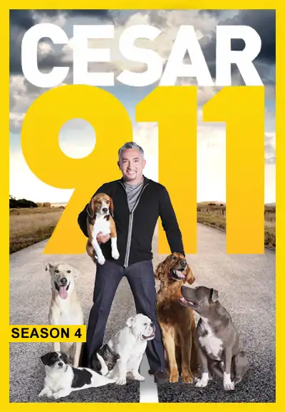 Season 4