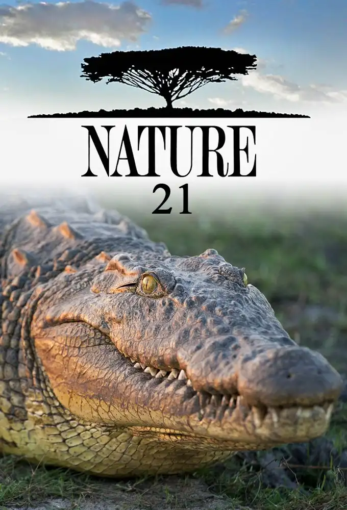 Season 21