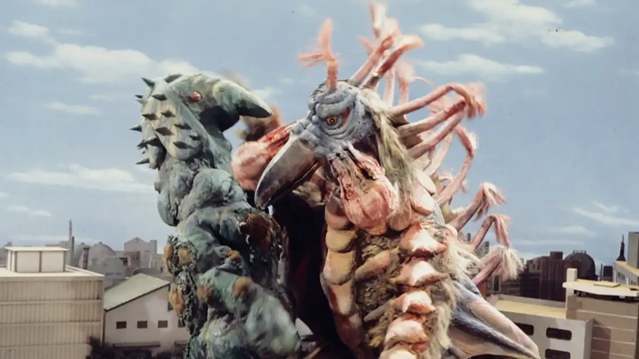 Taro Died! Zoffy Died Too!