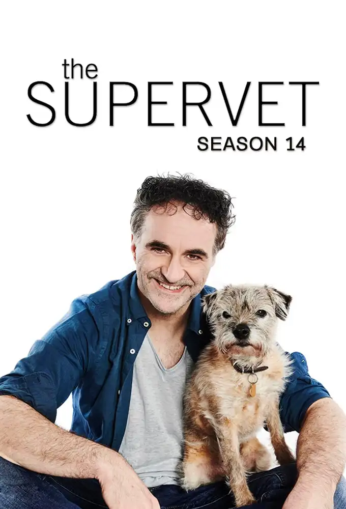 Season 14