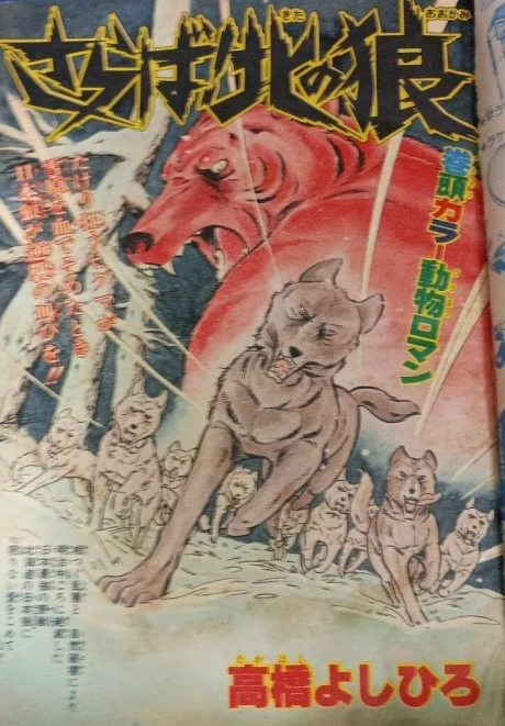 Saraba! Kita no Ookami