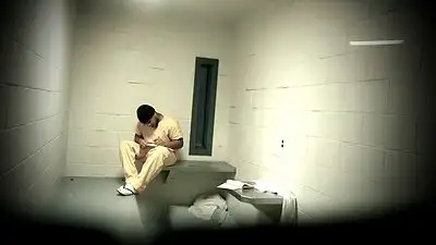 Life in Solitary