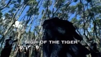 Sigh of the Tiger