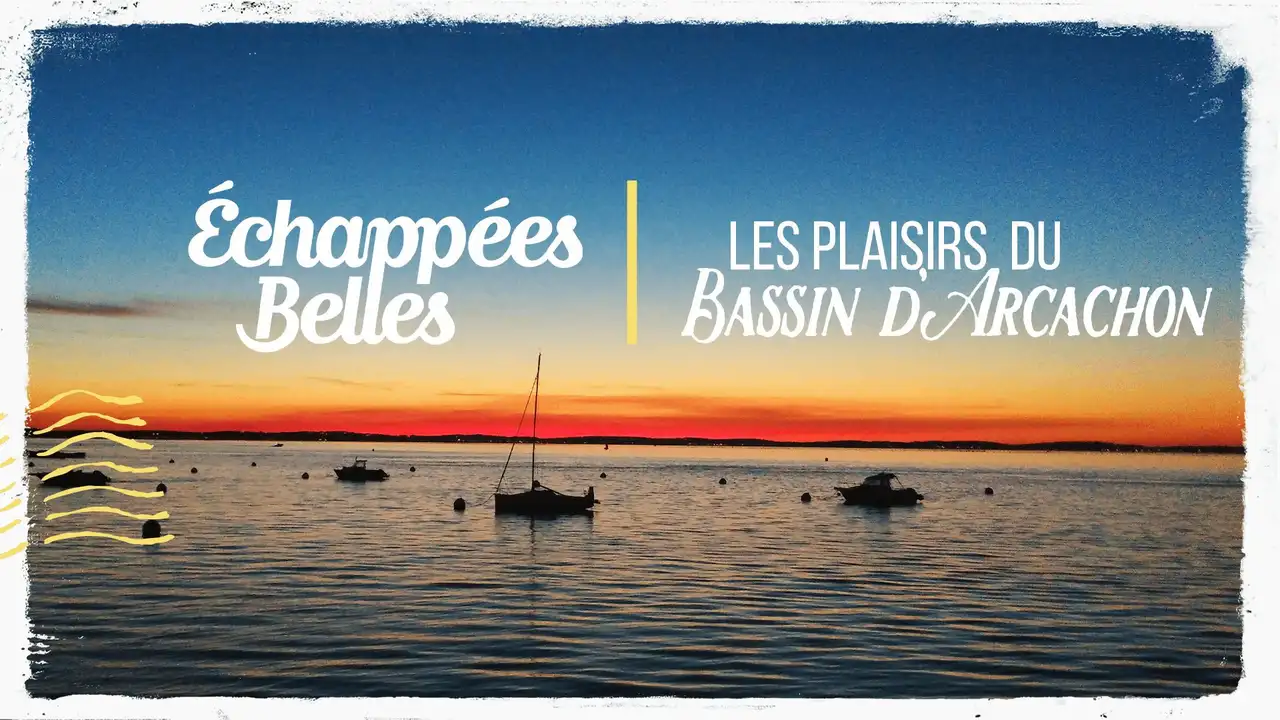 Les plaisirs du Bassin d'Arcachon