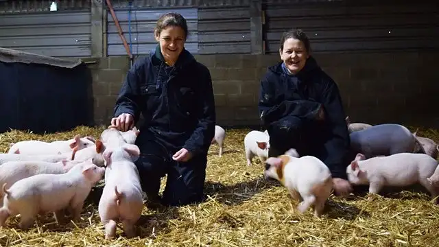 Crisis on the Farm