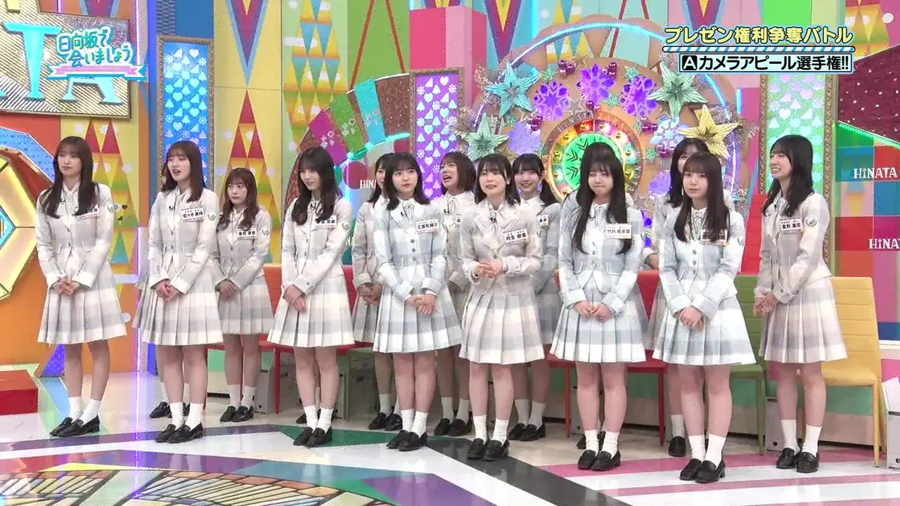 Hinata Fes 2024 Celebration! Booth Presentation!