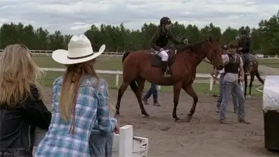 The Starting Gate