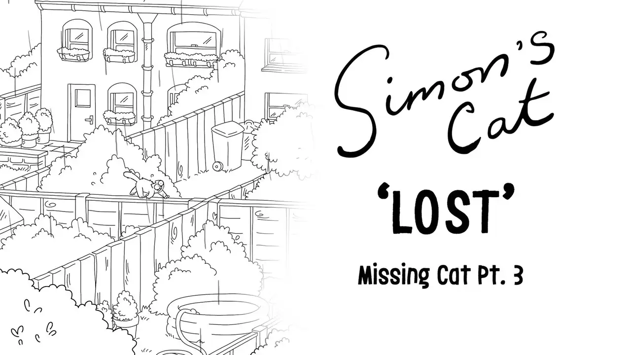 Missing Cat (3): Lost