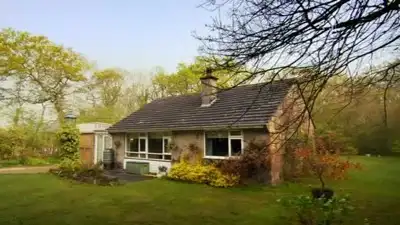 Isle of Wight: The Tree House