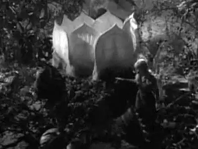 Attack of the Monster Plants