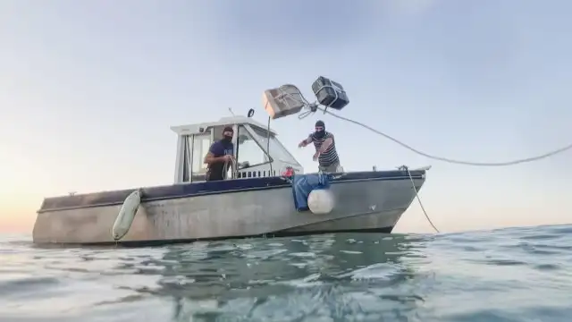 Episode 3