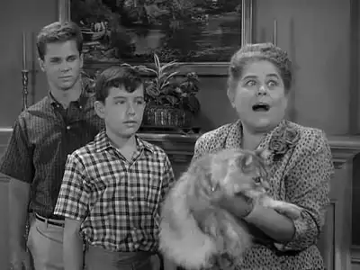 Beaver's Cat Problem