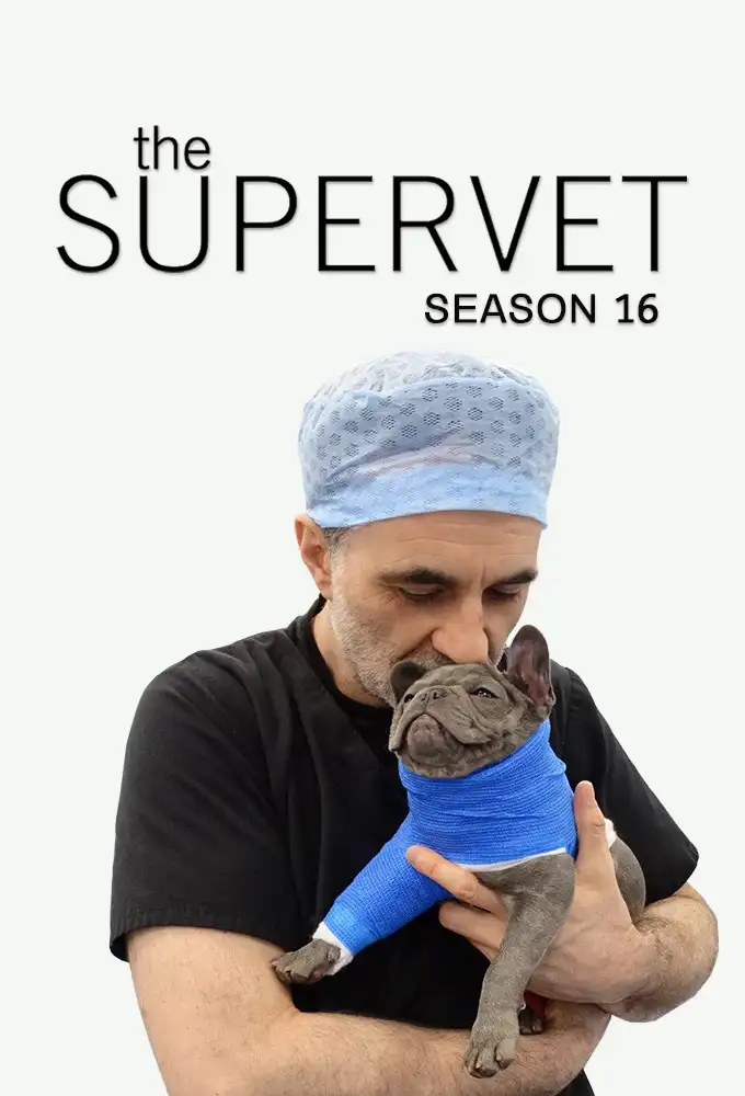 Season 16