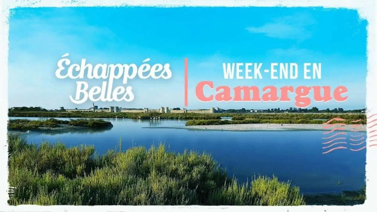 La Camargue en liberté