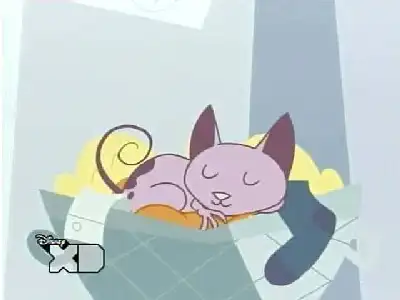 Katnapped!