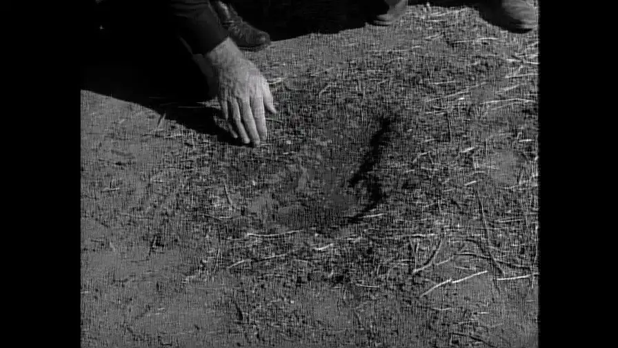 The Monster of Moon Ridge