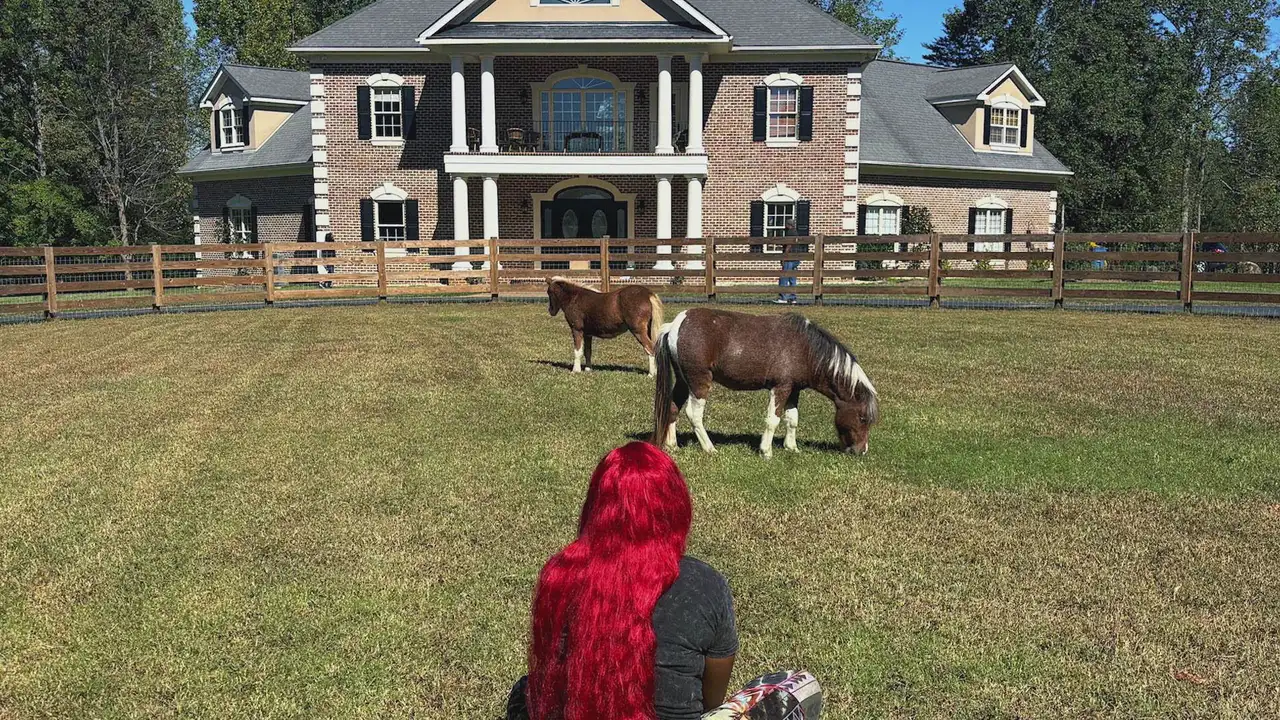 Hostile Horseplay
