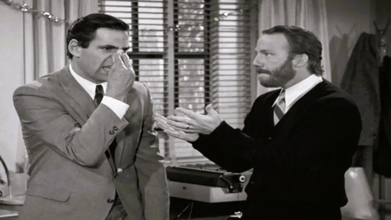 The Mike Van Dyke Show