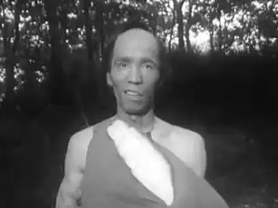The Turncoat