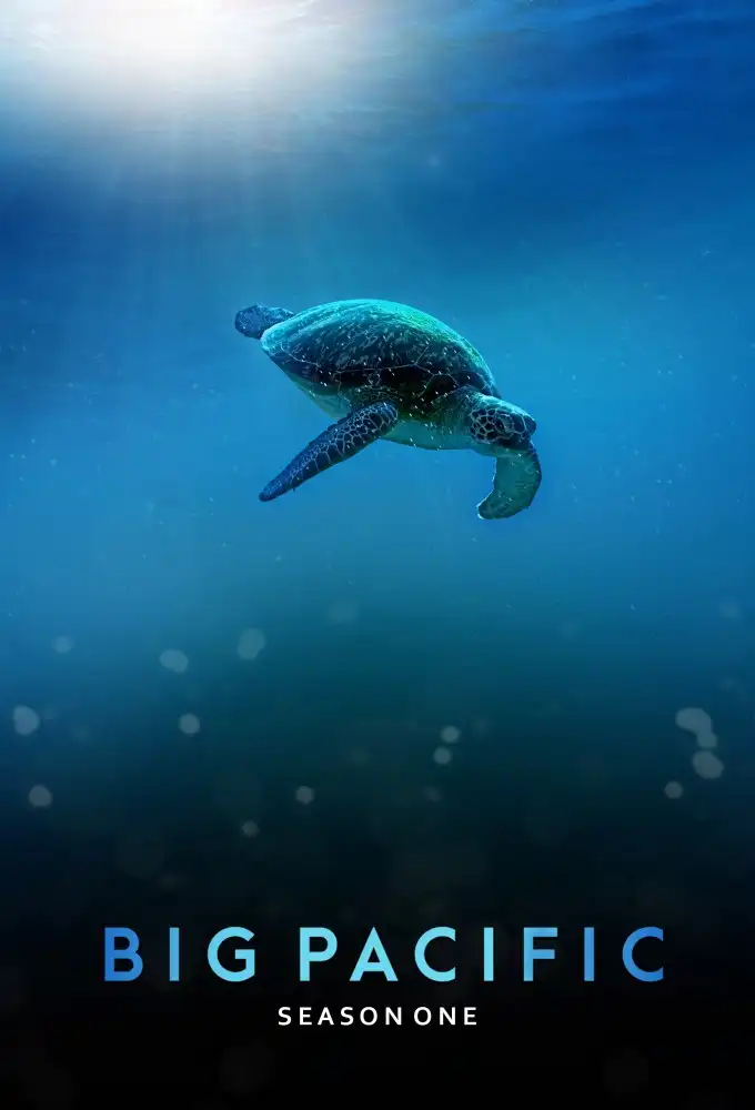 Big Pacific