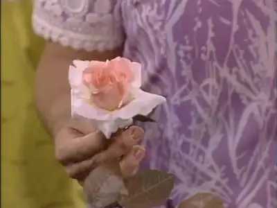 War of the Roses