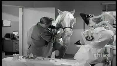 Ed's Dentist