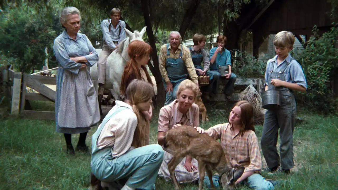 The Fawn