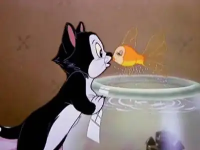 Figaro and Cleo