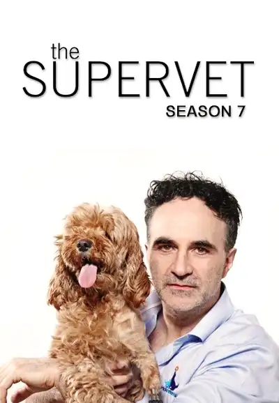 Season 7