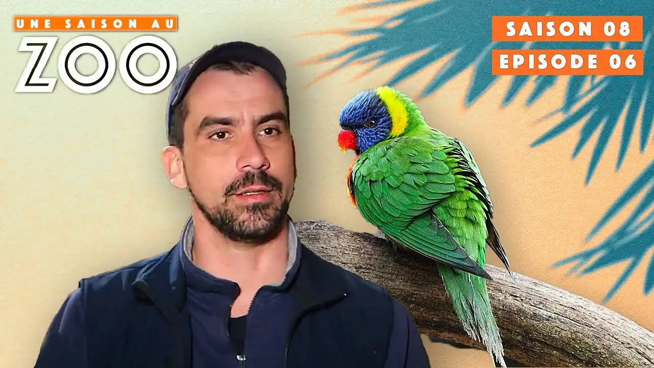 Episode 6