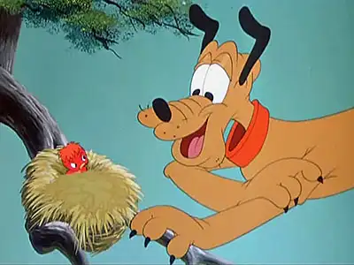 Pluto's Fledgling