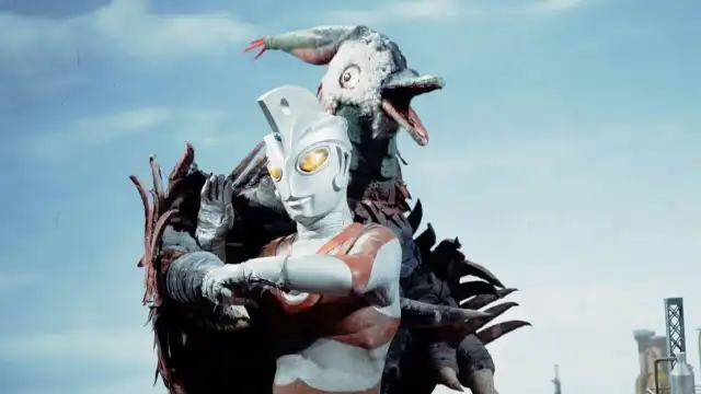 	Lend Me the Pidgeon