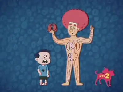 Body
