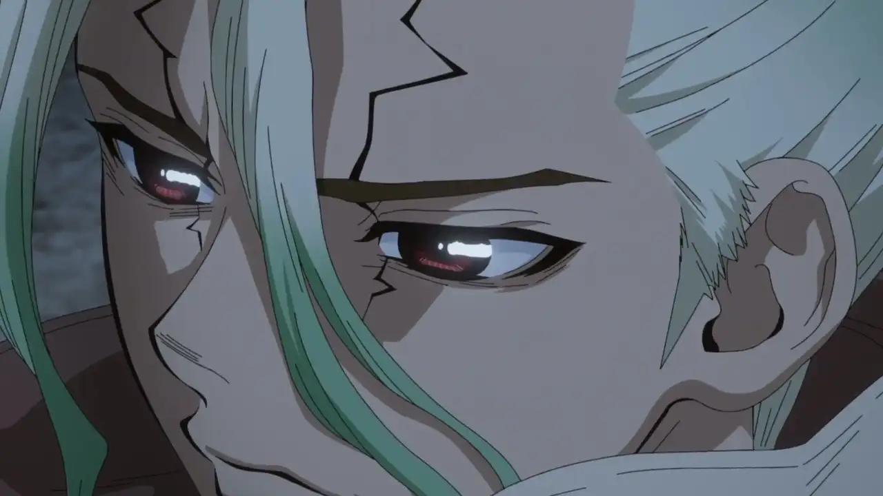 Our Dr. Stone