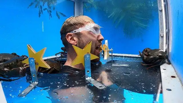 Fishy Business