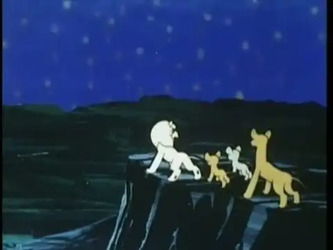 The White Cliff