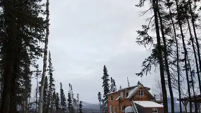 Calling the Wild