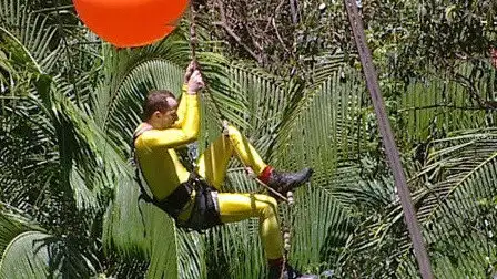 Treetop Terror