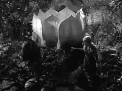 Next on Lost in Space (A Day at the Zoo)