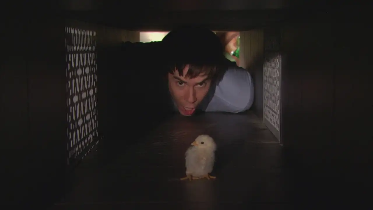 iHatch Chicks