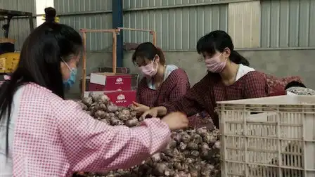Garlic Breath